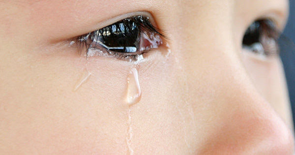 ドッキリなのに感動する動画がすごい 世界滅亡を信じさせられた男 文字起こし済み 俺だってヒーローになりてえよ