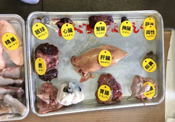 ふぐを生け簀で泳がせたい ふぐ調理師免許取得への道 釣船茶屋ざうお