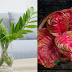 รวย ล้น ฟ้า ชื่อต้นไม้มงคล 50 ชื่อ : à¸­à¹à¸à¸¥à¸ à¸¡à¸² à¸£à¸§à¸¢à¸¥ à¸à¸ à¸² Aglaonema Sp Ruaylonfa à¸ à¸­à¸¡ à¸¥à¸ à¸à¸ à¹à¸¡ - ต้นรวยล้นฟ้า ไม้มงคล ชื่อเพราะ วิธีปลูก เป็น ต้นไม้จัดสวน ความหมายดี ต้นรวยล้นฟ้า ไม้มงคล หรือชื่อ อโกลนีมา วิธีปลูก และ.