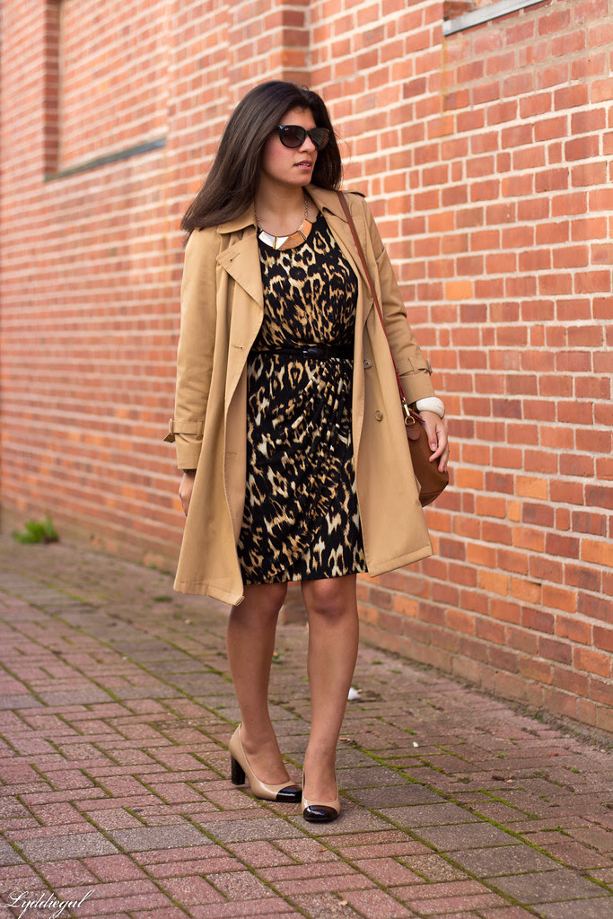 Black and Tan-1.jpg
