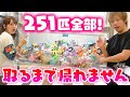 最高のコレクション クレーンゲーム ポケモン 景品 301633