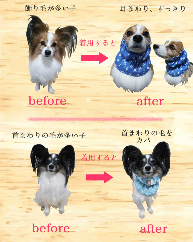 シニア犬 介護犬 耳汚れ防止 スヌード 首まわり汚れ防止 ハーズ スタイ代わりに 犬 スヌード かわいい 手作り犬雑貨のharzth