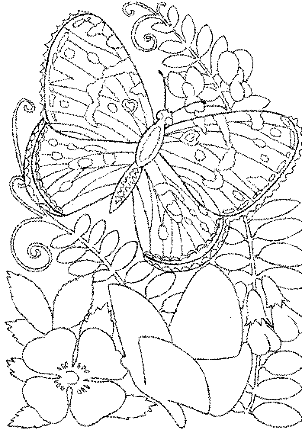 Free Printable Spring Coloring Pages For Adults Coloring Free Printable Spring Coloring Pages For Adults Coloring