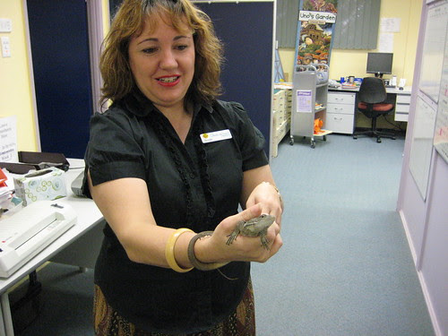 Monitor lizard found in the library