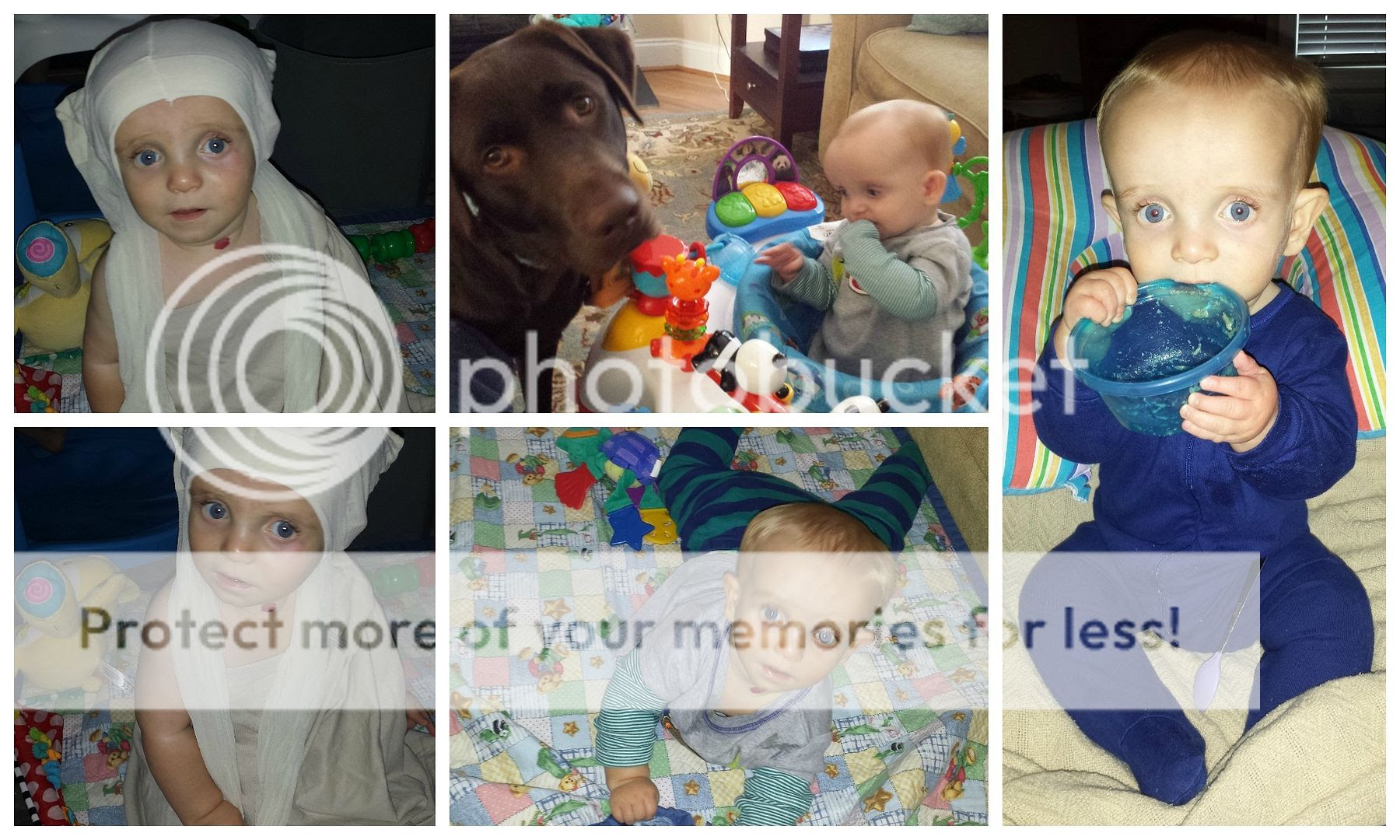photo October.collage12_zpsqlec3vnk.jpg