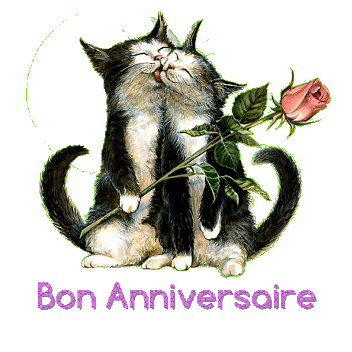 Gifs Chats Pour Toi La Maison D Evy