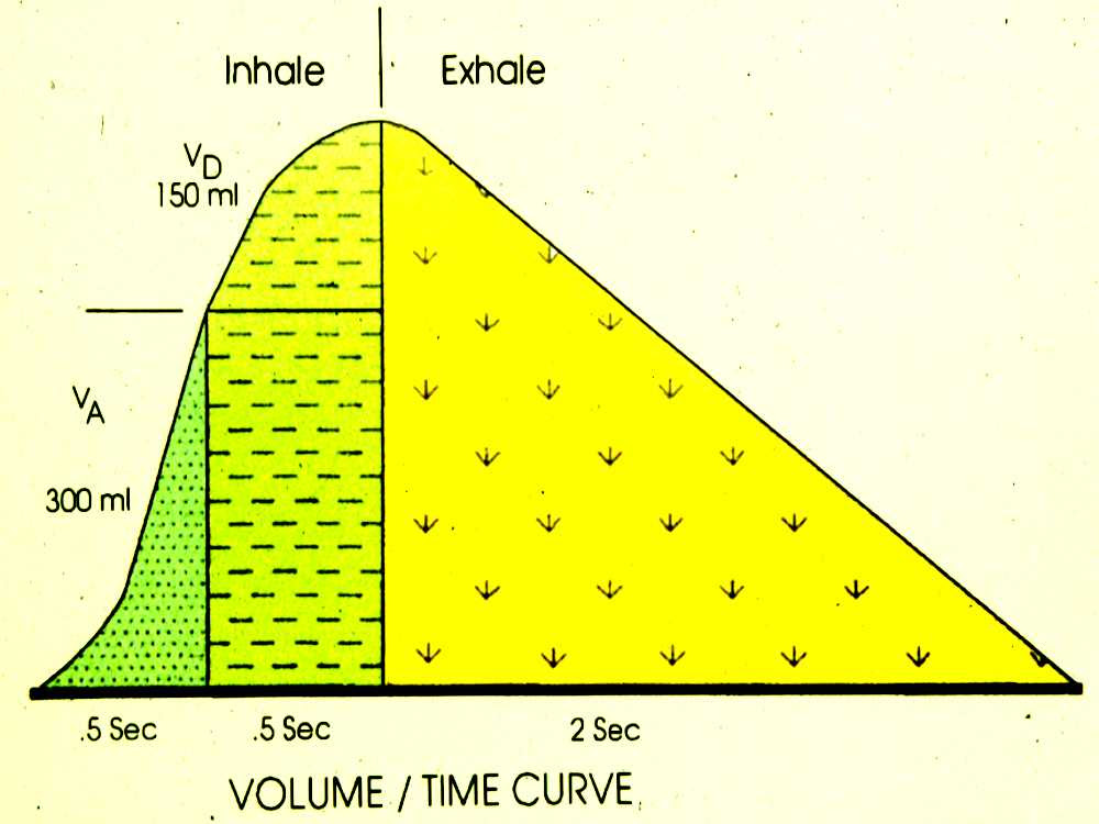 inhalation and exhalation diagram. 15 Inhalation-Exhalation