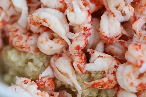 Quinoa salad with crayfish tails, avocado & roasted tomatoes / & lobster tail salad / Kinoa-vähisabasalat