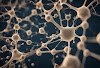Cancer: Understanding the Basics