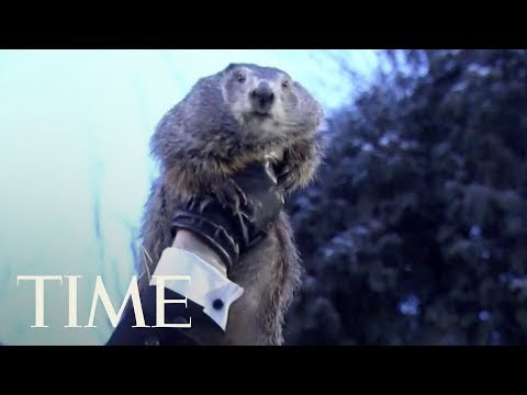 Groundhog Day • Punxsutawney Phil