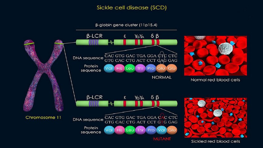 Cs 2019 02 01 19 Bionatura