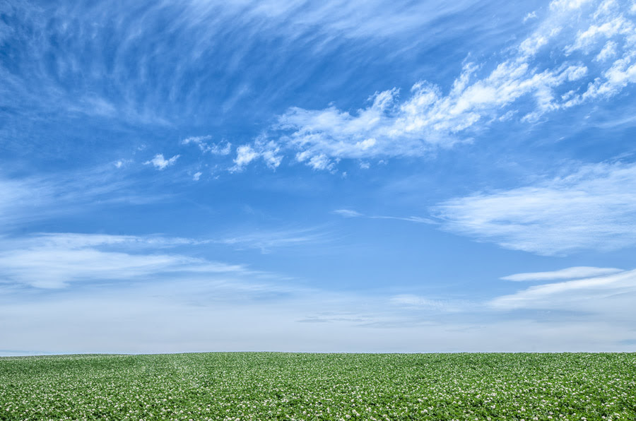 フリー写真 北海道の草原と青空の風景でアハ体験 Gahag 著作権フリー写真 イラスト素材集