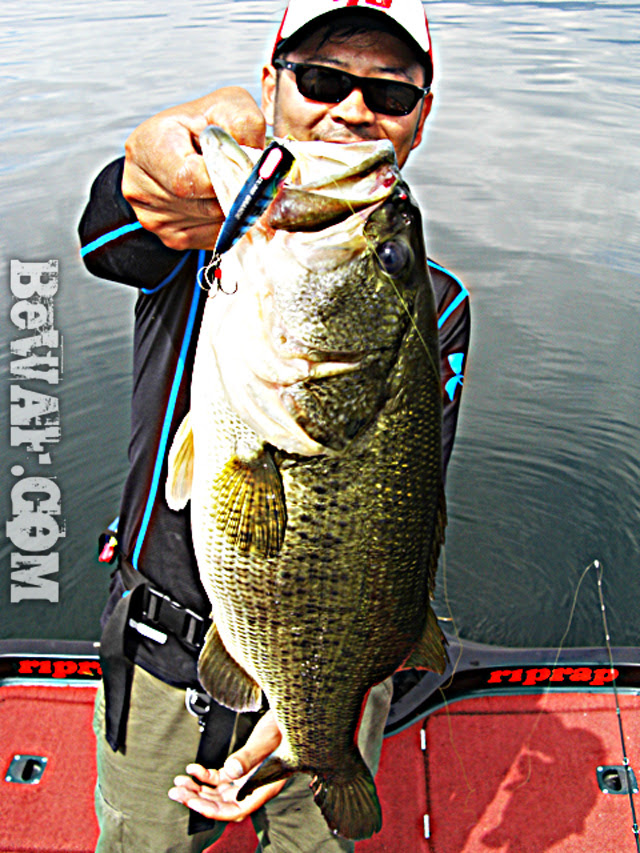 biwako bassfishing guide blog 2015 chouka 12