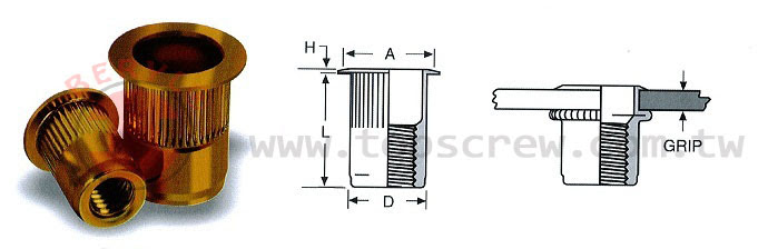 STEEL BLIND RIVET NUT, STAINLESS STEEL BLIND RIVET NUT, STAINLESS STEEL 316 BLIND RIVET,Fasteners, rivet nut, inserts, rivet, nuts, screws, bolts, studs, blind rivet nuts , self-clinching, bolt rivet nuts, e self-driving nut, self-tapping threaded inserts, sex bolts, PEM nut, binding post, Chicago screw, barrel nut, post, special blind rivet, security fastener, blind jack nut, welding stud, hardware parts, construction hardware,BLIND NUT, RIVET NUT, TOP SCREW METAL CORP, TOPS SCREW METAL CORP,INSERT NUT