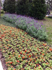 花博新生公園區
