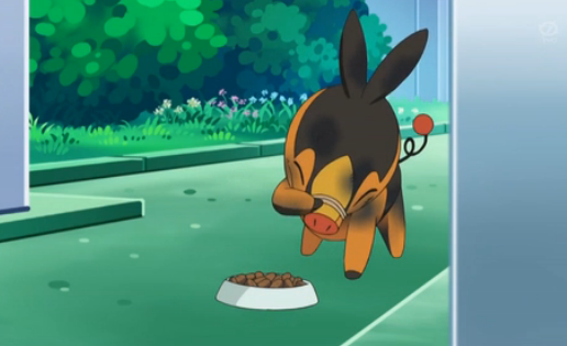 pokemon
