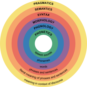 Major levels of linguistic structure