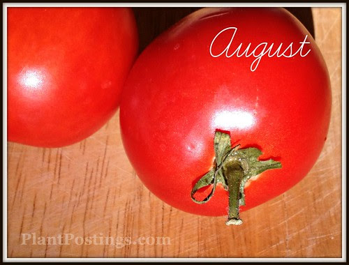August