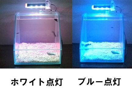 ミニアクアリウムのdesk Top Aqua Dta小型照明チューブ ライトシリーズ
