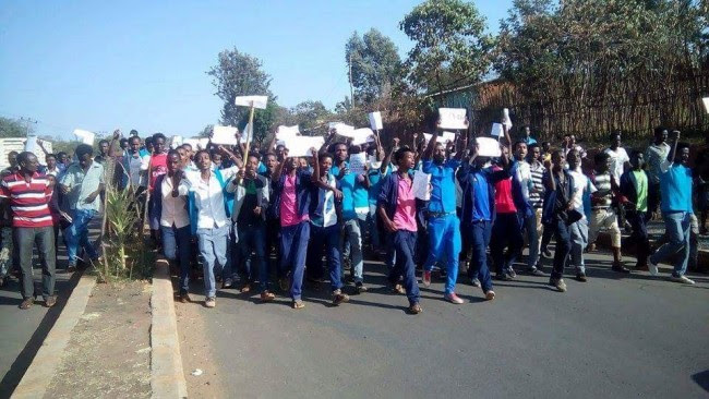 12688259_1280752031951277_8650264648218612269_n