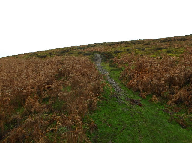 Pen y Fan and Pole Bank walk 227