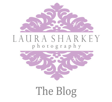 logoheader-blog