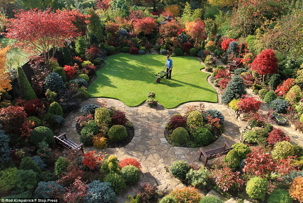 Tony Newton creates garden masterpiece in West Midlands | Mail Online