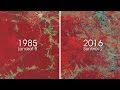 コンプリート！ amazon rainforest deforestation before and after 155422-Amazon forest before and after deforestation