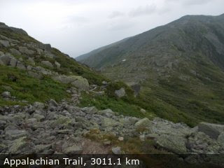 Trail Photo