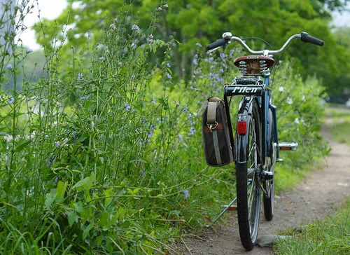 Pilen, Charles River Trail