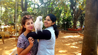  Blue N White’s presents the Third Edition of the Bangalore Pet Show, 2016