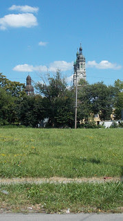 pBuffalo-12