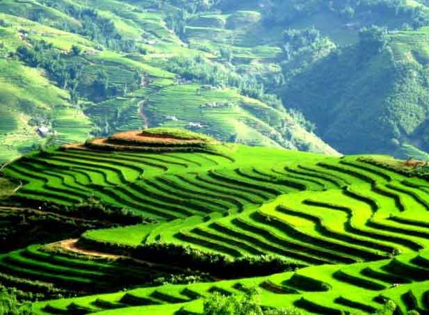 Kinh nghiệm du lịch Sapa tự túc