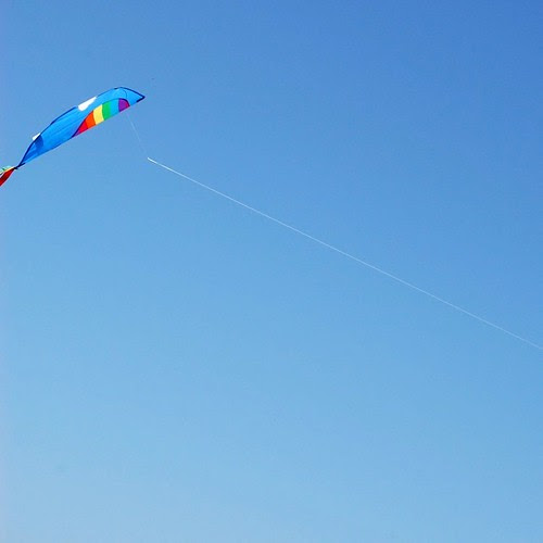 Kite