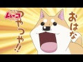 [コンプリート！] いとし の ムーコ 最 新刊 213111