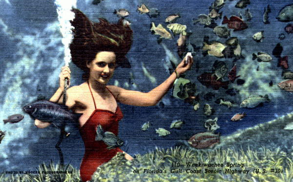 Tour Six, Part Four - Mermaids Are Real - Cathy Salustri