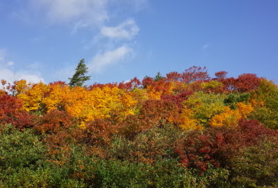 紅葉情報 10月10日 須川高原 栗駒山と登山