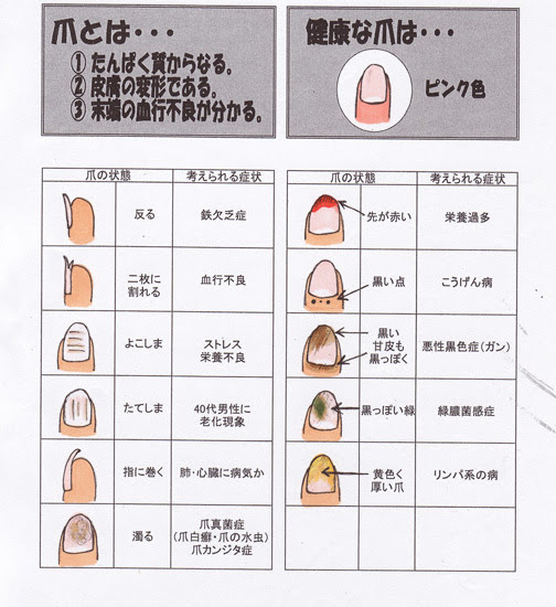 爪と健康 並河式スイッチ 足 食 気功法