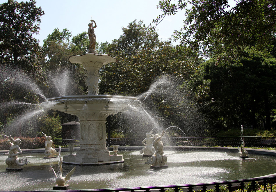 Savannah1