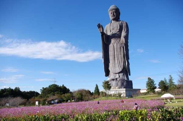 Ushiku Daibutsu (120 meters)