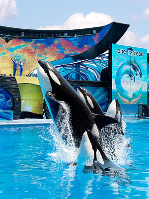 Sea world Orlando