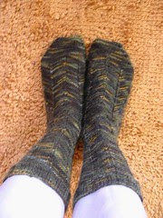 Jaywalker Socks