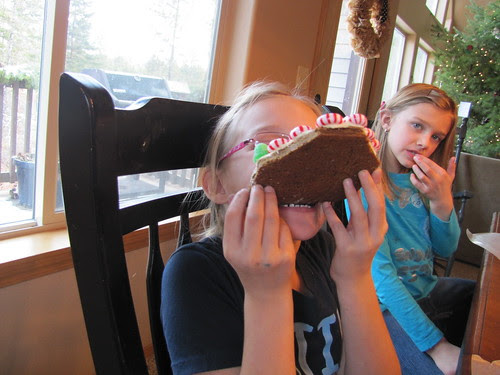 sp gingerbread 2011