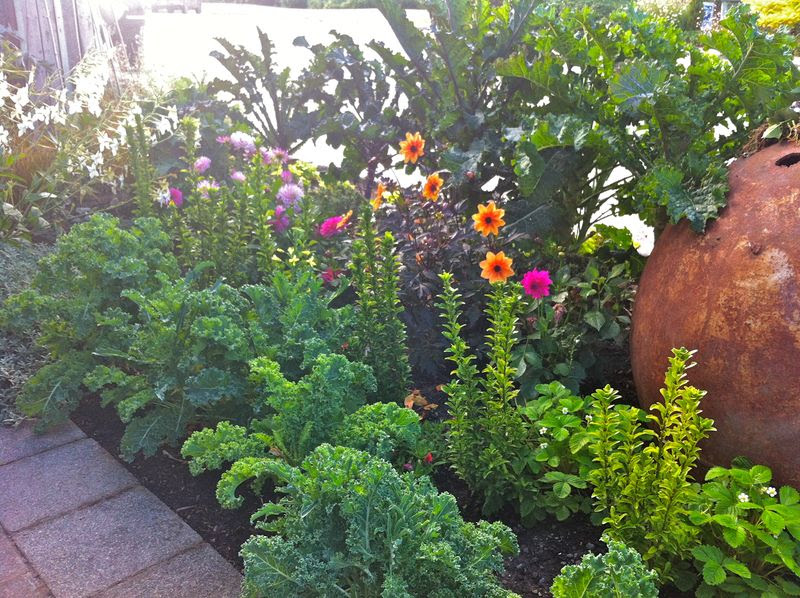garden ideas budget Garden Plant Stand Ideas | 800 x 598