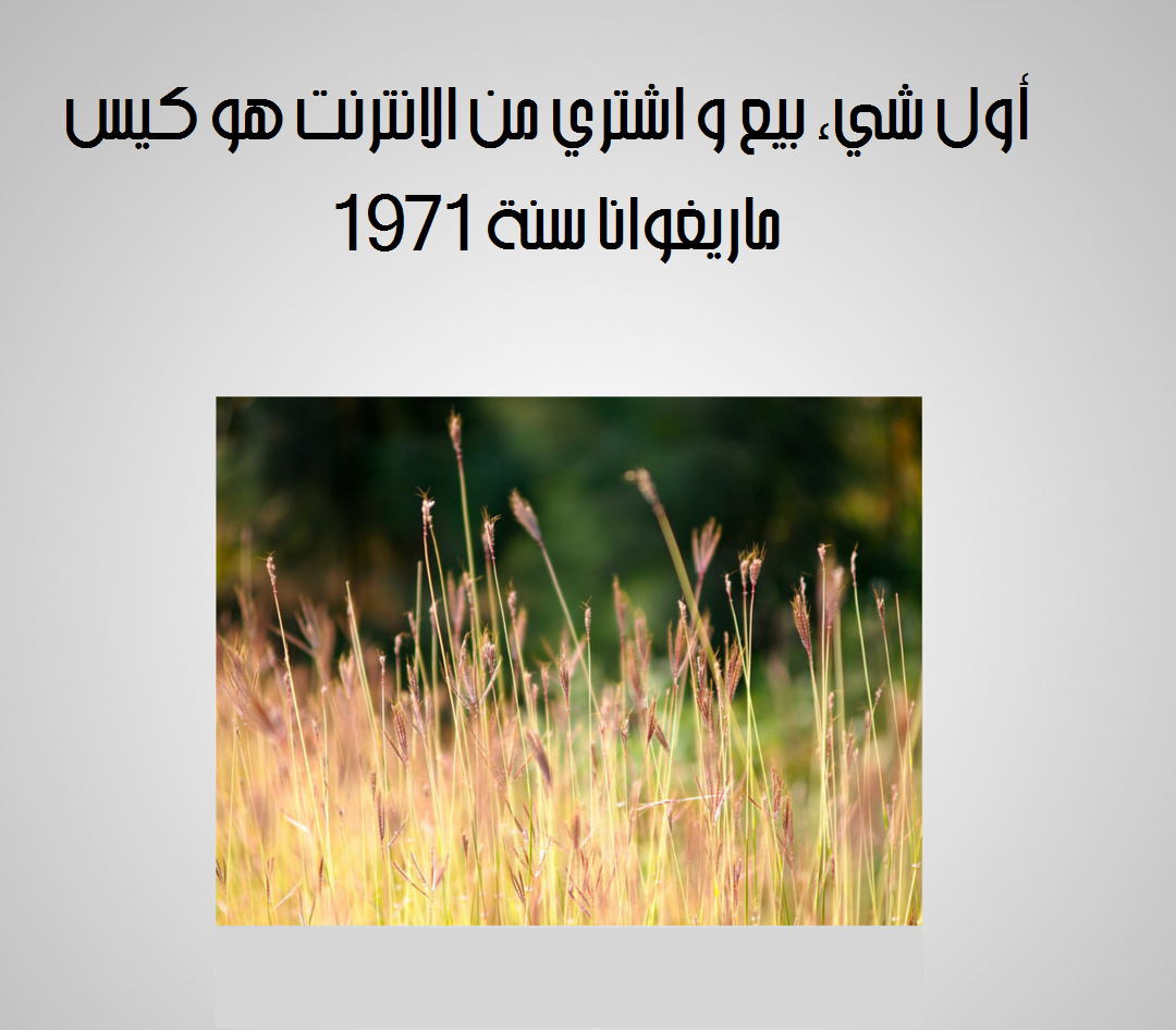حقائق عن الإنترنت - الحقيقة السابعة