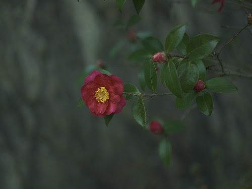 _0260957mp