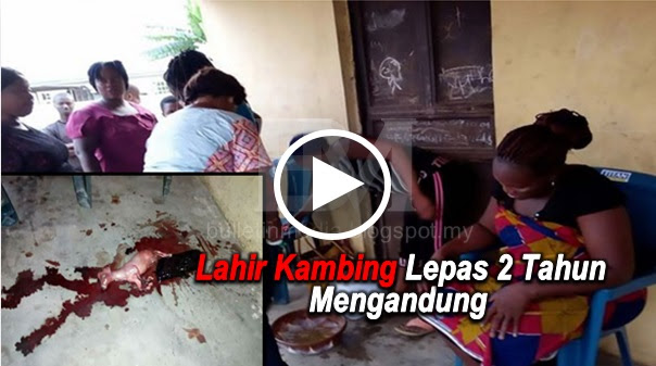 [VIDEO] Pelik Tapi Benar Wanita Lahirkan Kambing Selepas 2 Tahun Mengandung