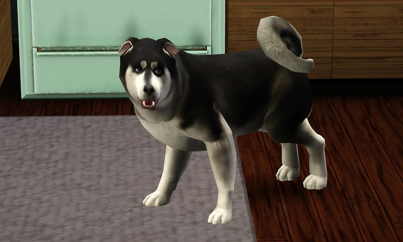 Screenshot-4065