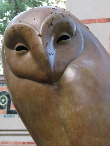 Bronze Barn Owl