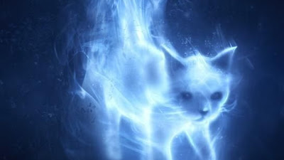 Tonkinese Cat Patronus Meaning